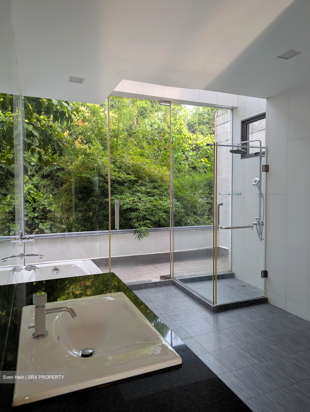 Swiss View (D11), Terrace #540002881